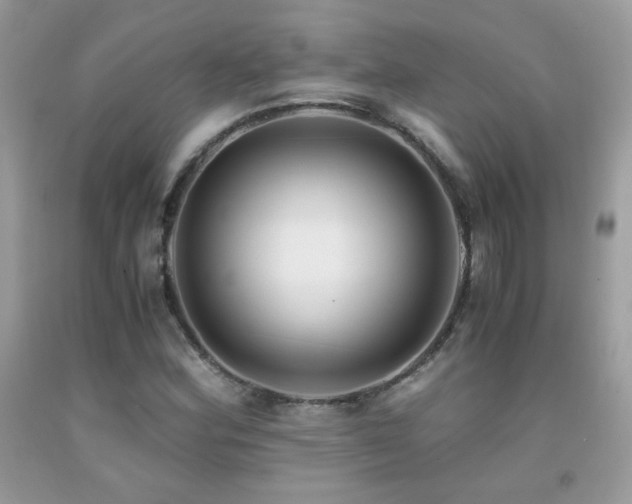 X0000091921164200709051434