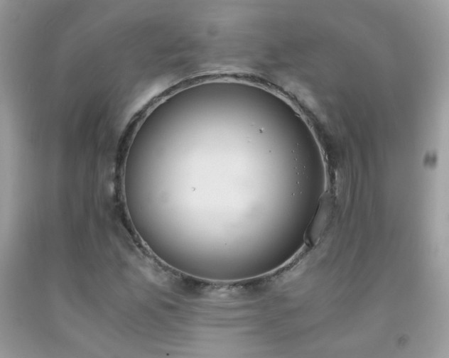 X0000091921165200709051434