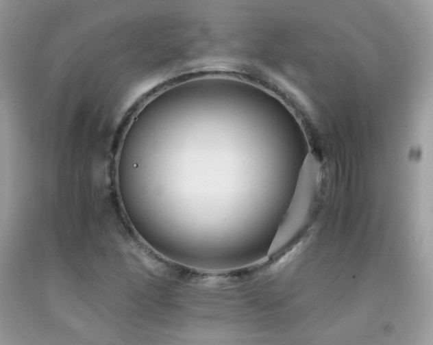 X0000091921166200709051434