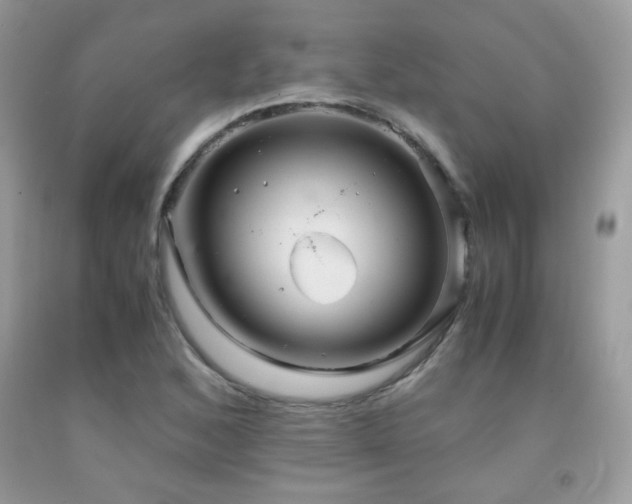X0000091921168200709051434
