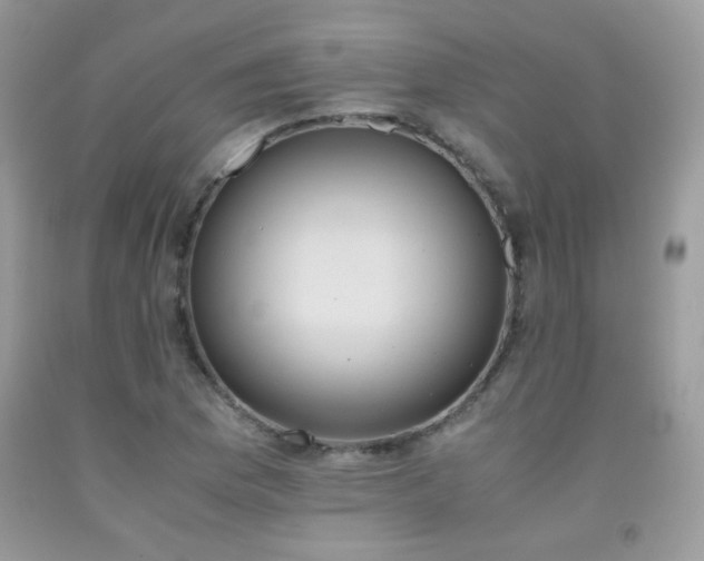X0000091921169200709051434