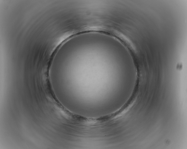 X0000091921170200709051434