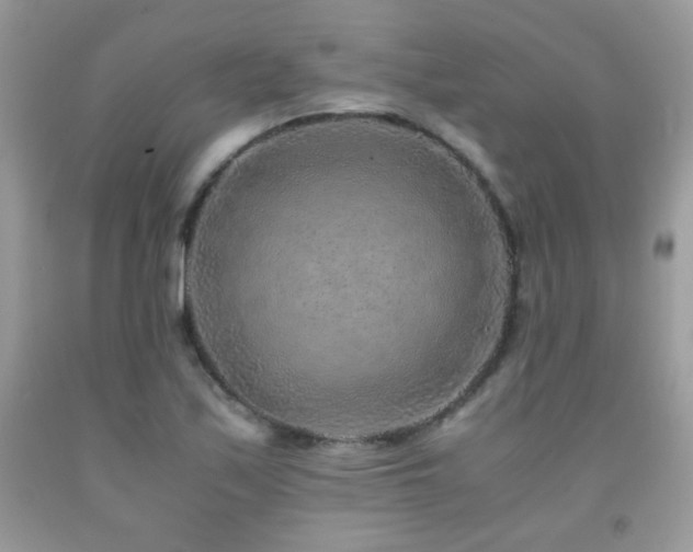X0000091921171200709051434