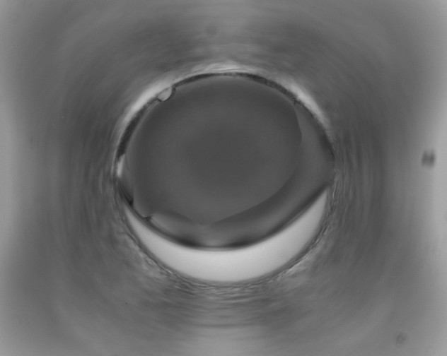X0000091921173200709051434