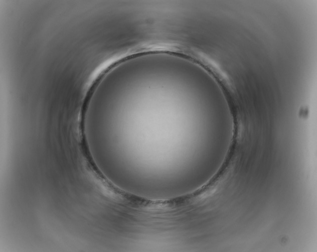 X0000091921174200709051434
