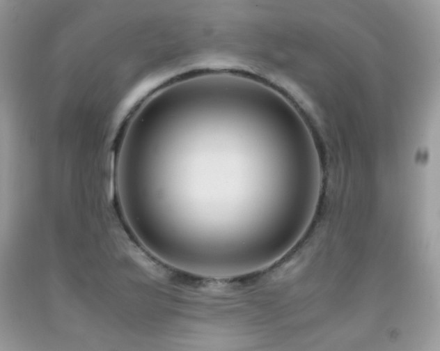 X0000091921175200709051434