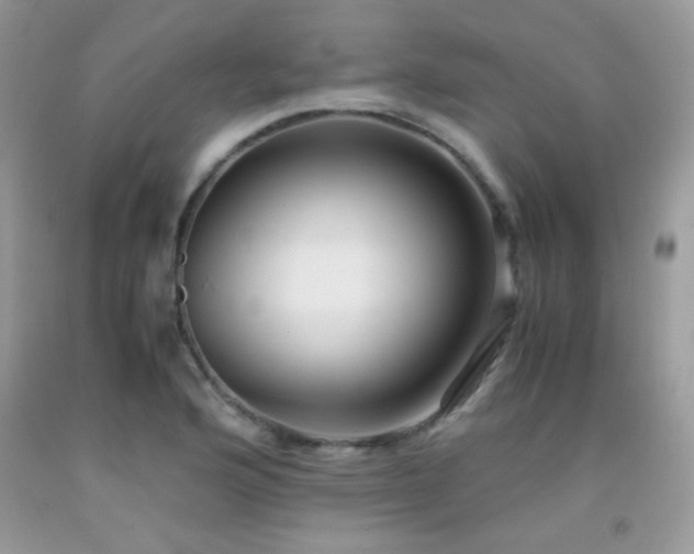X0000091921176200709051434