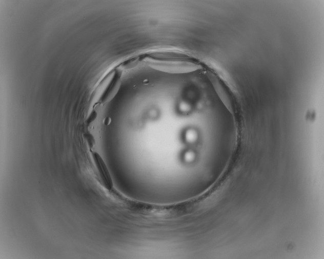 X0000091921177200709051434