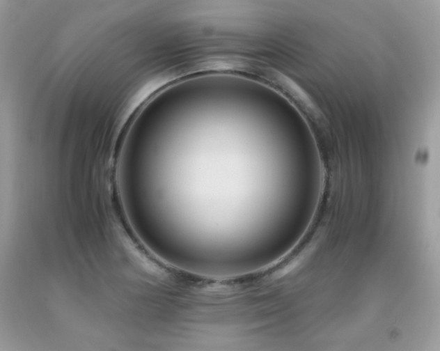 X0000091921178200709051434