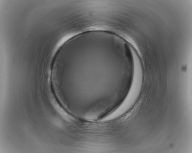 X0000091921179200709051434