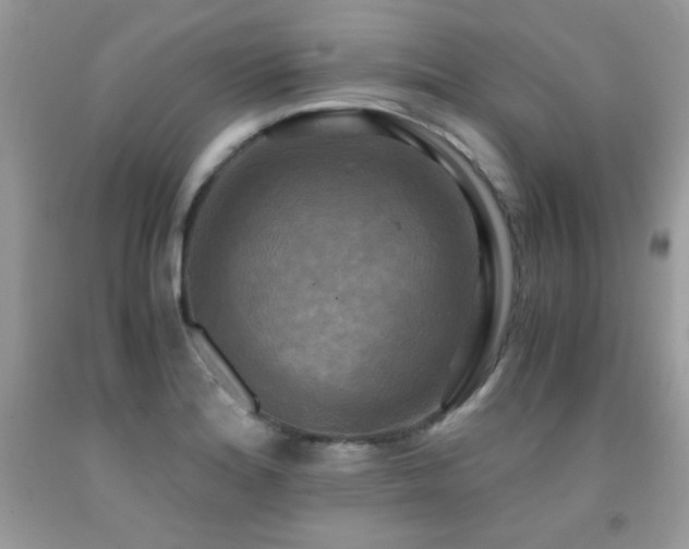 X0000091921180200709051434