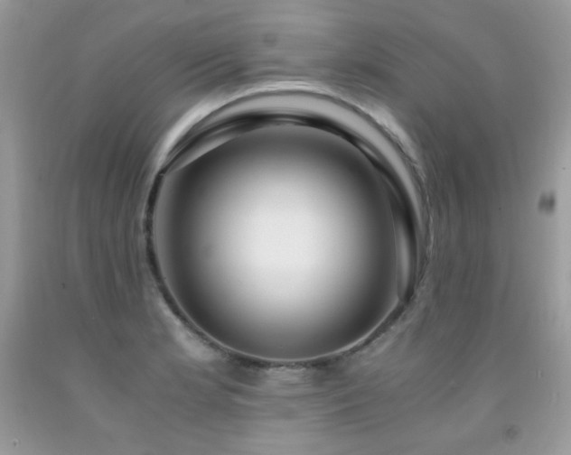 X0000091921181200709051433
