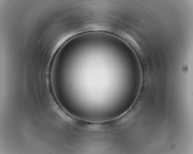 X0000091921182200709051433