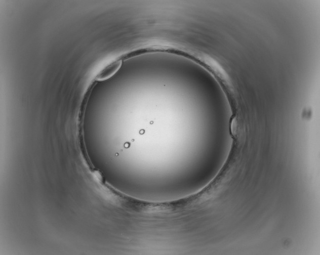 X0000091921183200709051433