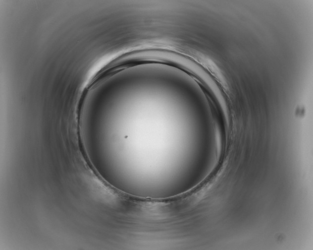 X0000091921184200709051433