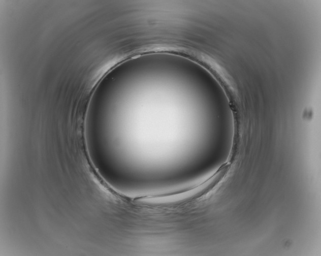 X0000091921185200709051433