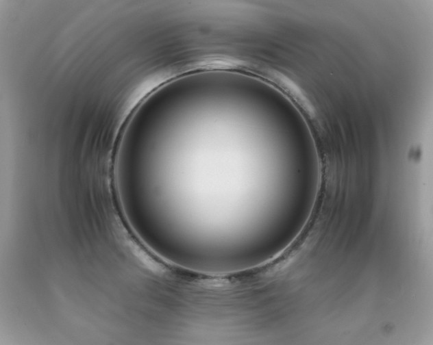 X0000091921186200709051433