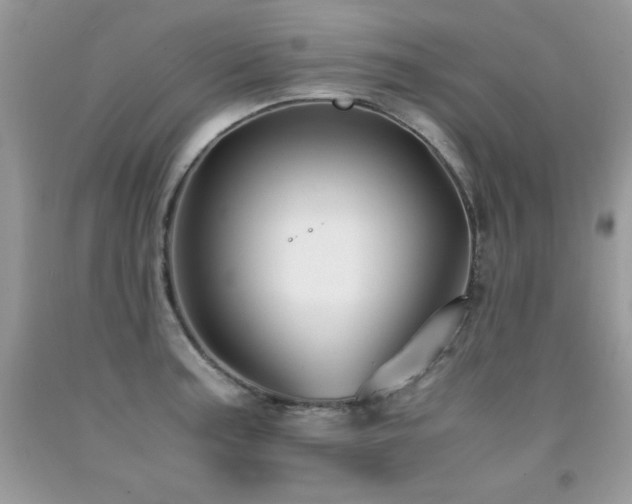 X0000091921187200709051433