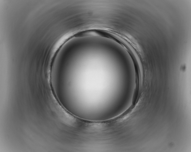 X0000091921188200709051433