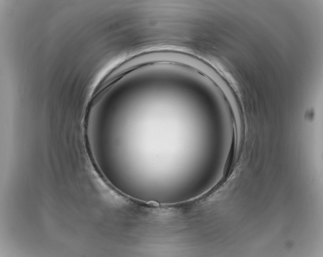 X0000091921189200709051433