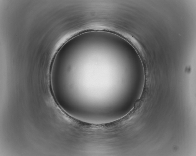 X0000091921191200709051433