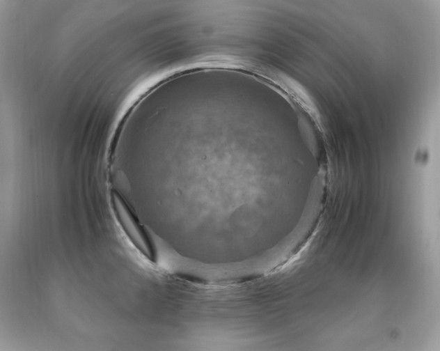 X0000091921192200709051433