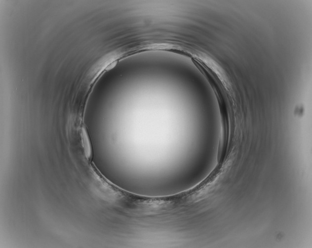 X0000091921193200709051433