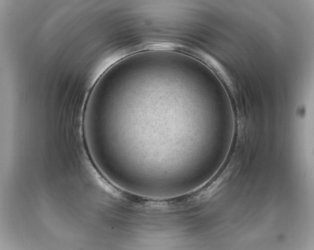 X0000091921194200709051433