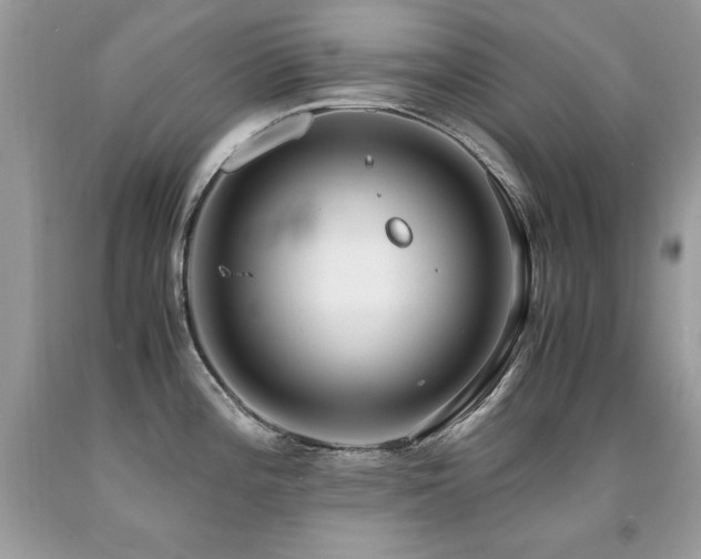 X0000091921196200709051433