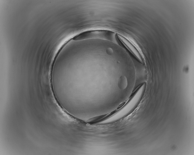 X0000091921197200709051433