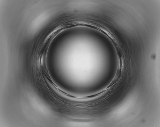 X0000091921198200709051433