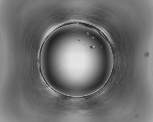 X0000091921199200709051433