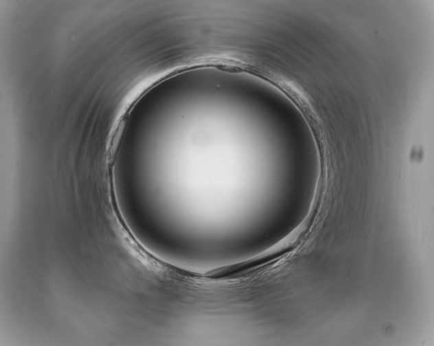 X0000091921200200709051433