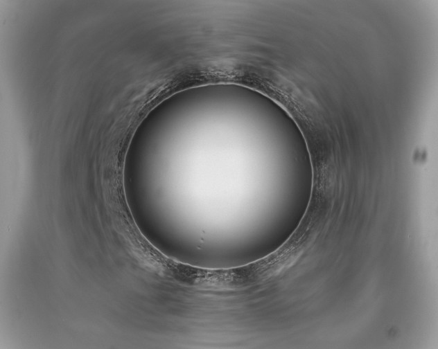 X0000091921201200709051432