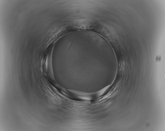 X0000091921202200709051432