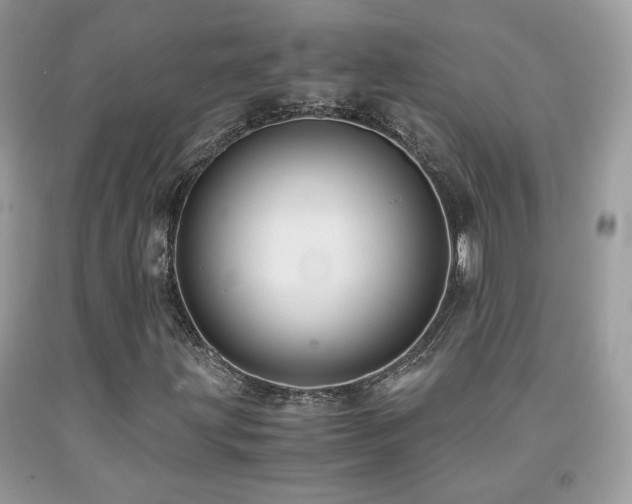 X0000091921203200709051433