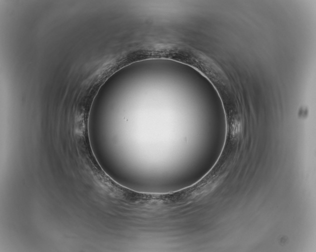 X0000091921204200709051433