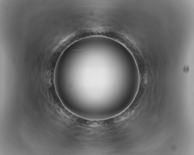 X0000091921205200709051433