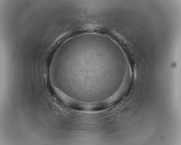 X0000091921206200709051433