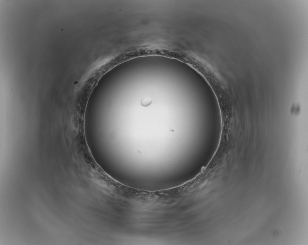 X0000091921207200709051433