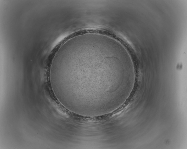 X0000091921208200709051433