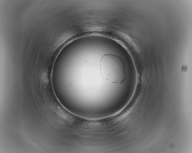 X0000091921209200709051433