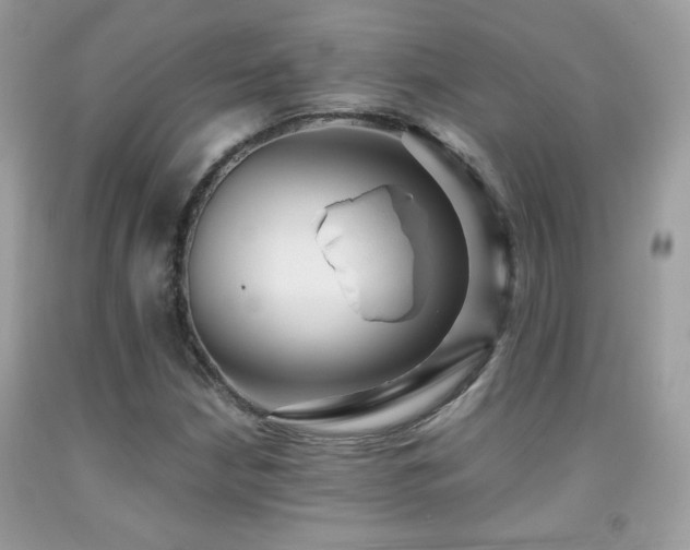 X0000091921210200709051433