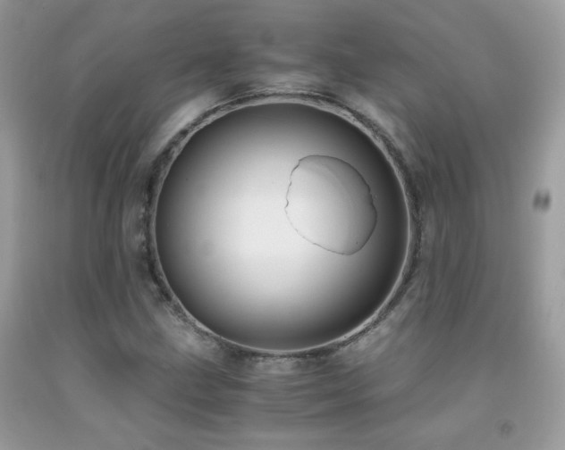 X0000091921211200709051433