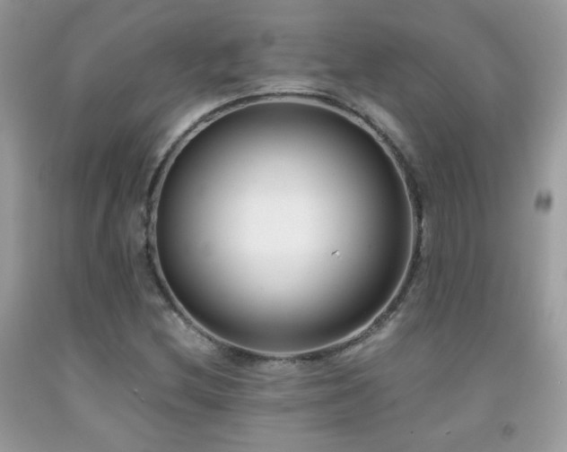 X0000091921212200709051433