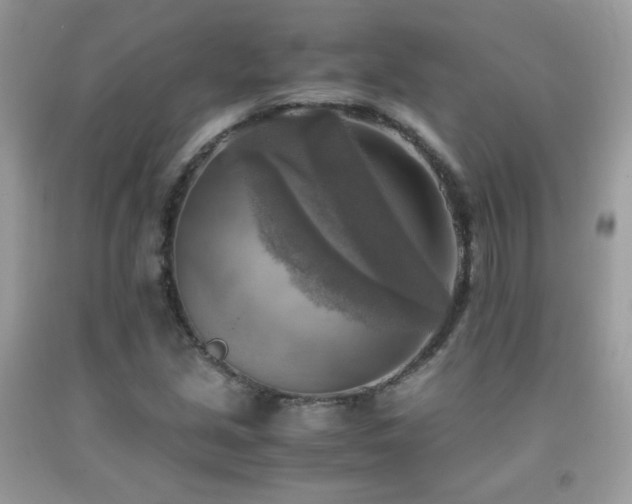 X0000091921213200709051433