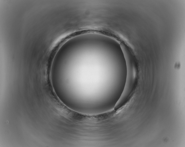 X0000091921214200709051433