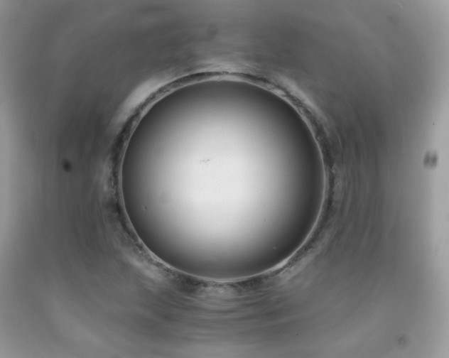 X0000091921215200709051433