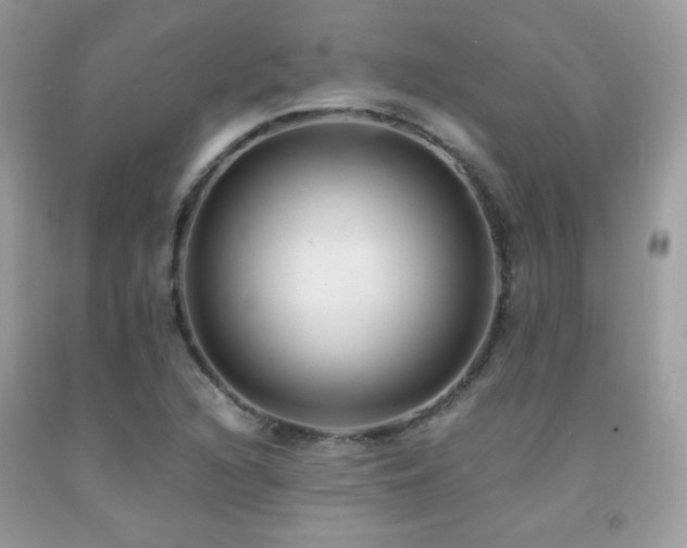 X0000091921216200709051433