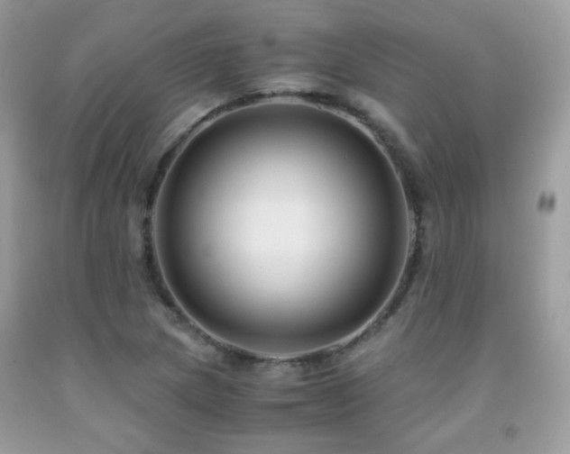 X0000091921217200709051433